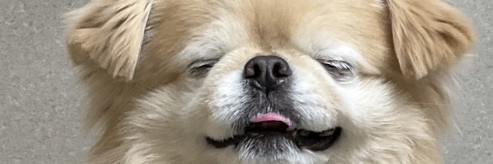 mio_nokko's profile banner image