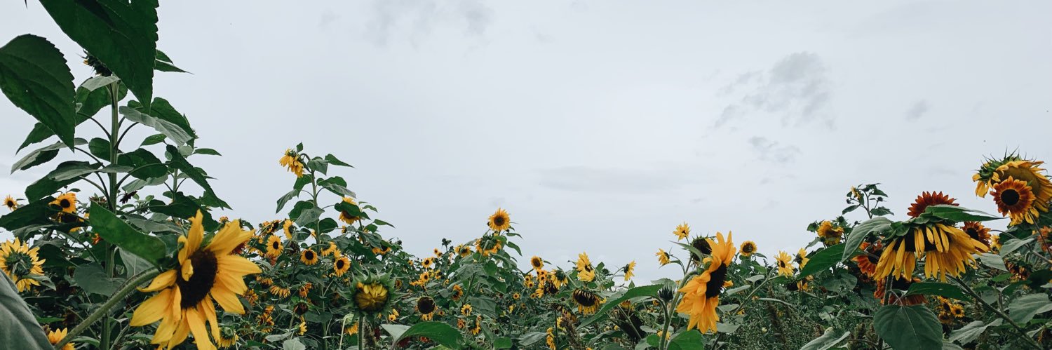 Hiiiiley's profile banner image