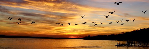 foolthemagician Profile Banner