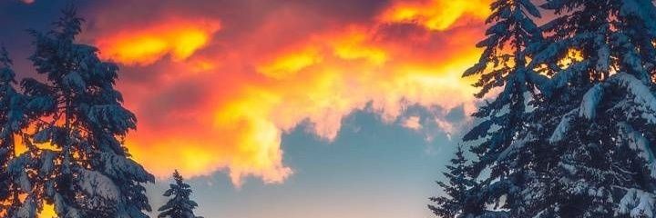 _Gleyse_'s profile banner image