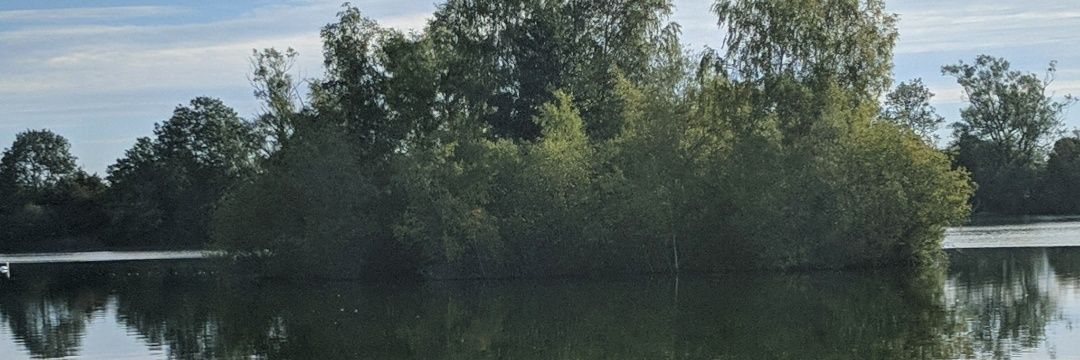 tmachin13's profile banner image