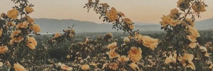 Maudysusila's profile banner image