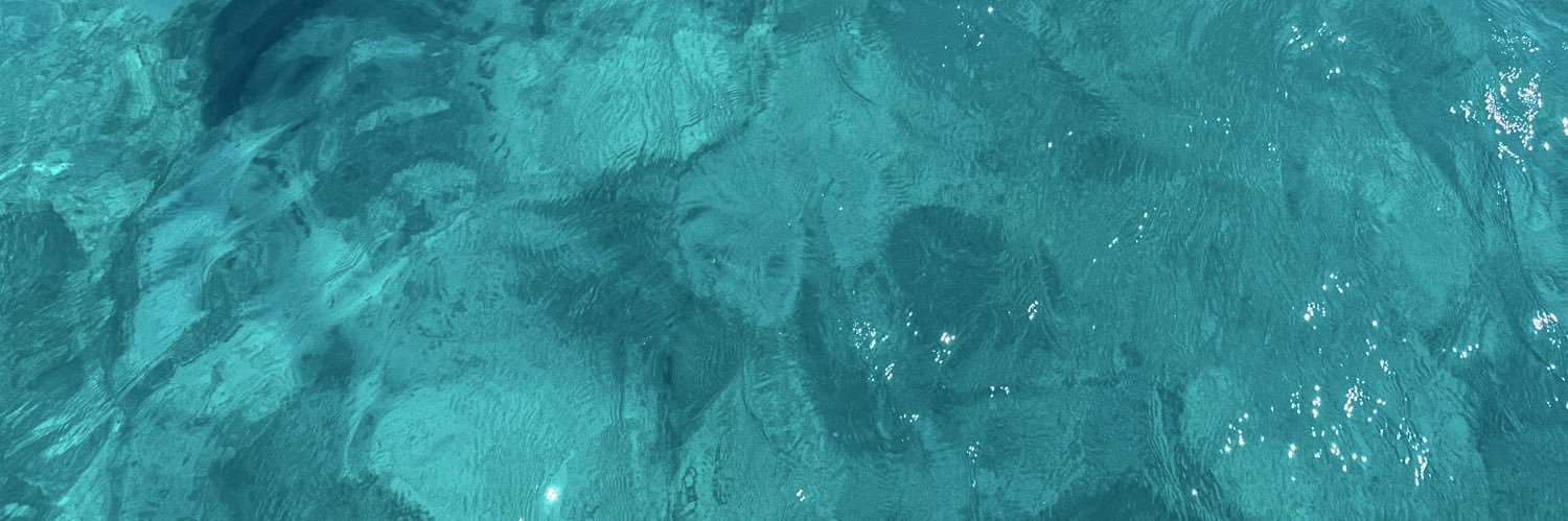 sofibale's profile banner image