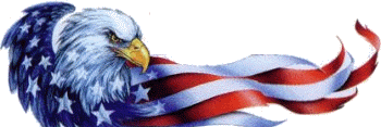Wandaroos's profile banner image