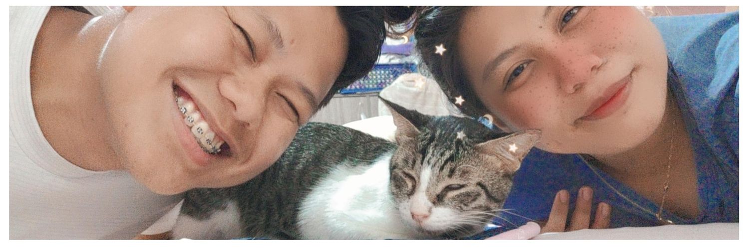 nicsmaggay's profile banner image