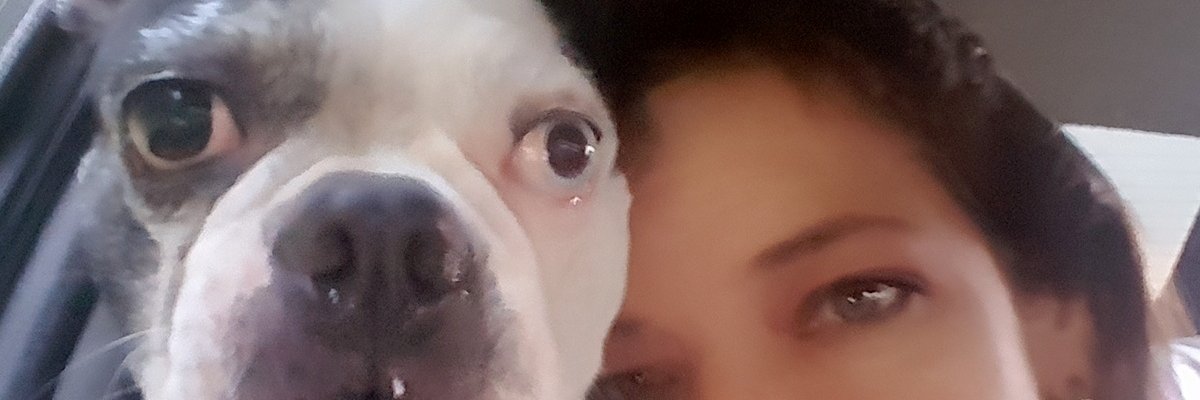 amrebolledo's profile banner image