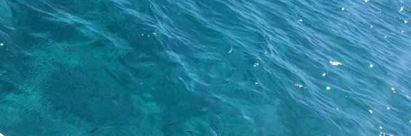 SolerCatalina Profile Banner