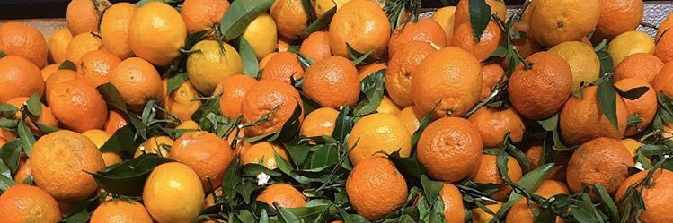 Anna_Crump's profile banner image