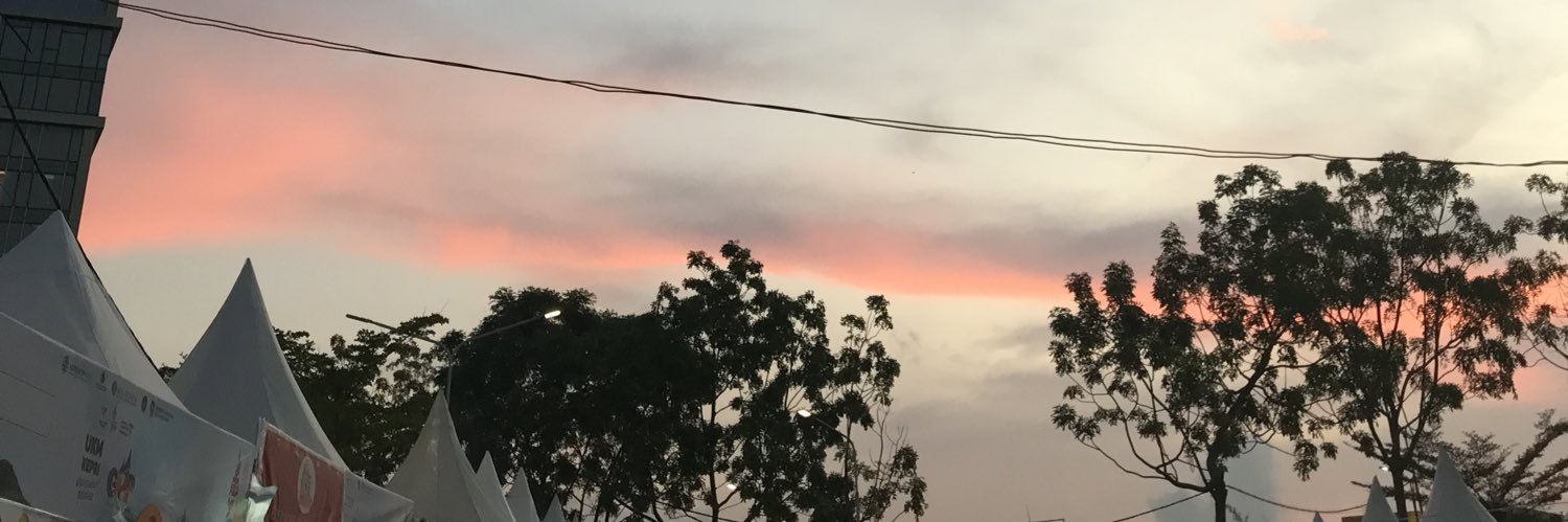 diniadilaa's profile banner image