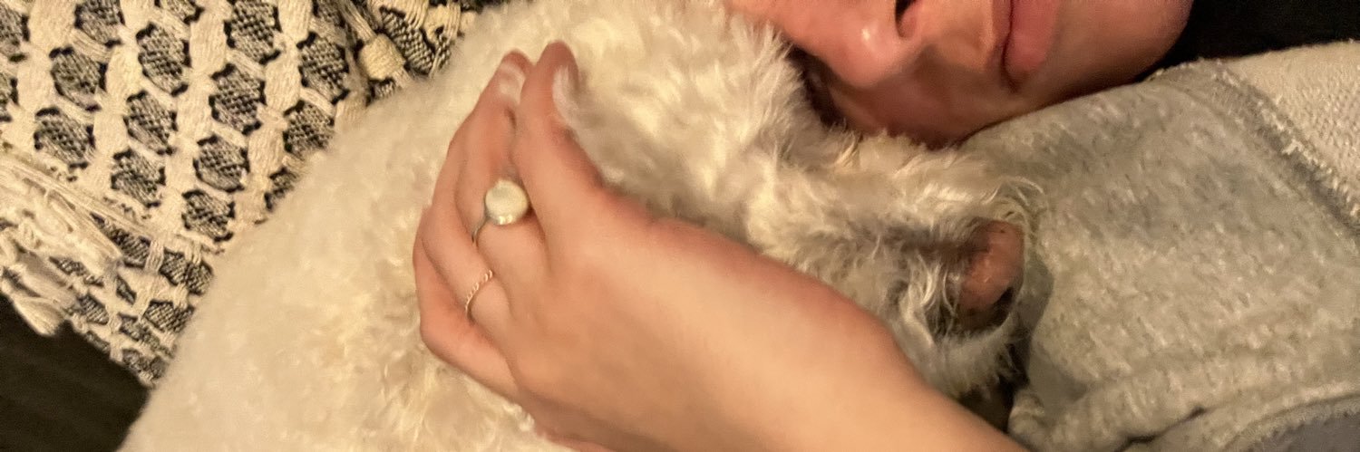 DanielleDiScala's profile banner image