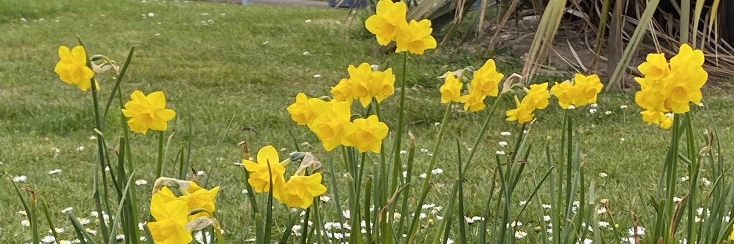 Sarah Bennett banner