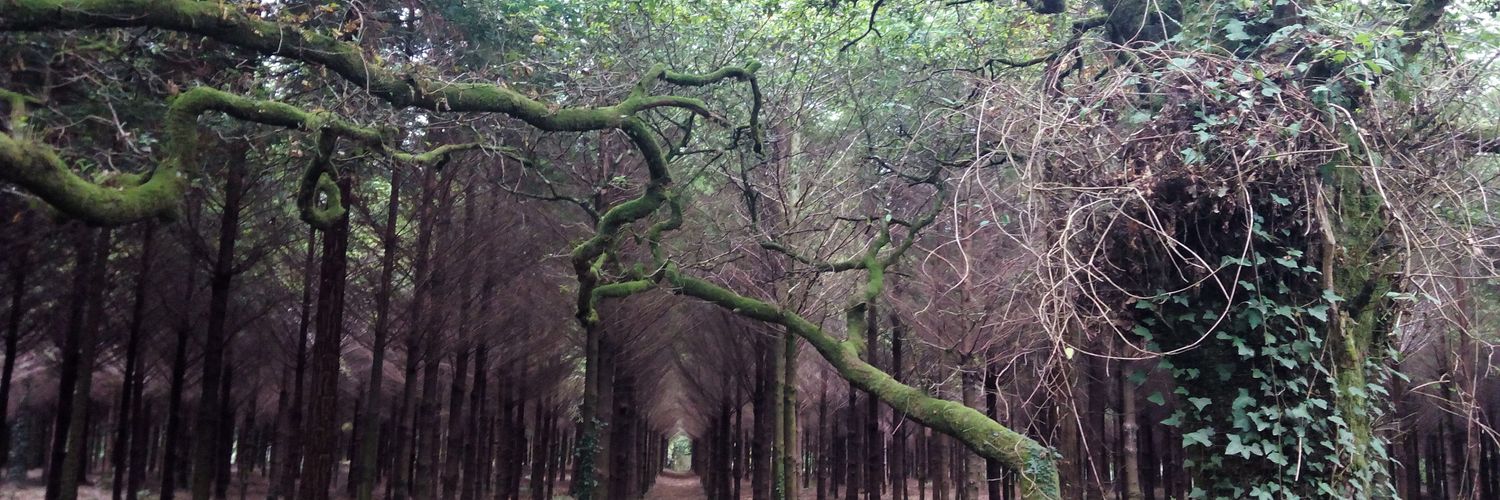 José Ramón Martínez banner