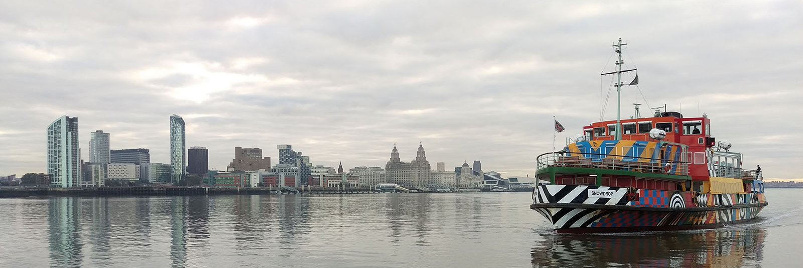 SteveMacey's profile banner image