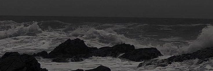 branndylou's profile banner image