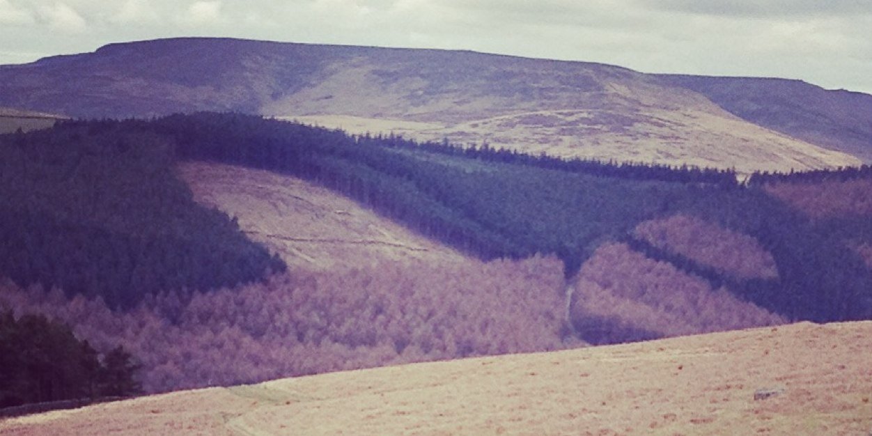 nainby's profile banner image