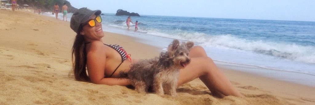 stephaniesbp's profile banner image