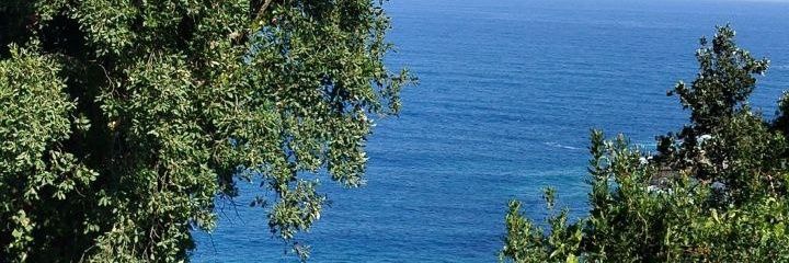 _algeroise2 banner