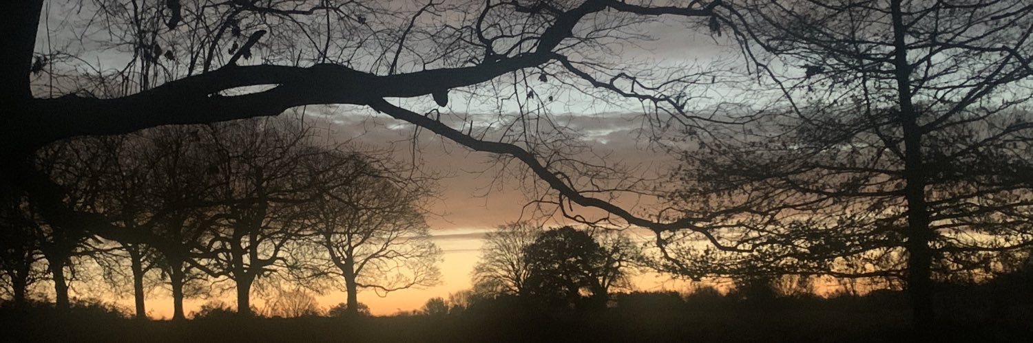 stephencockell's profile banner image