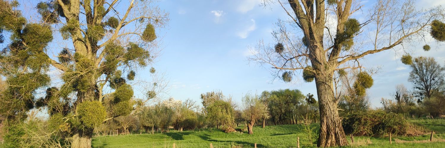 Marc-Oliver Pahl 🇪🇺 banner