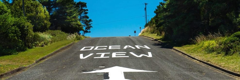 Siobhan Murphy banner