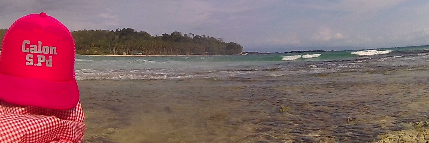 safinaulia's profile banner image