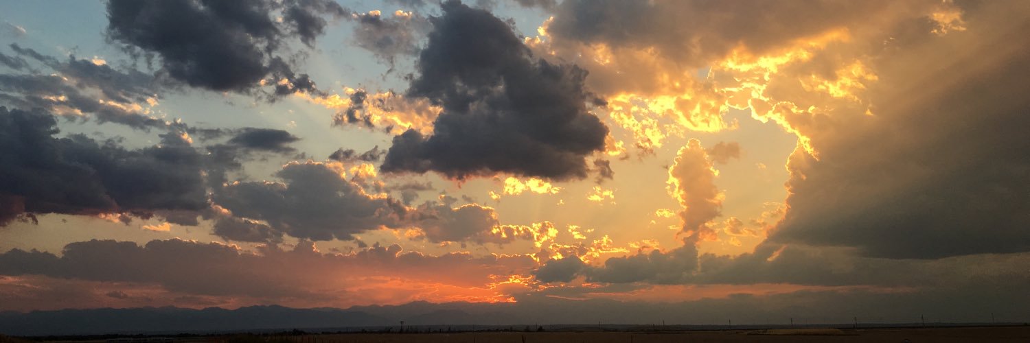 Elizabeth Wright banner