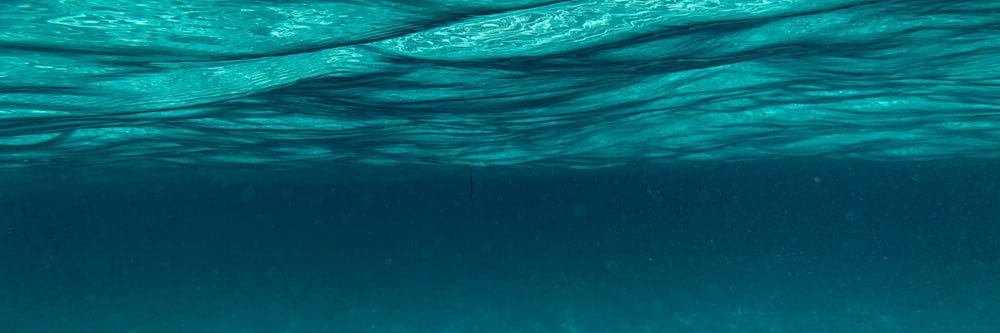 Michael Frangou banner