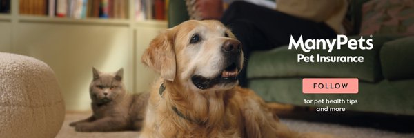 manypets_uk Profile Banner