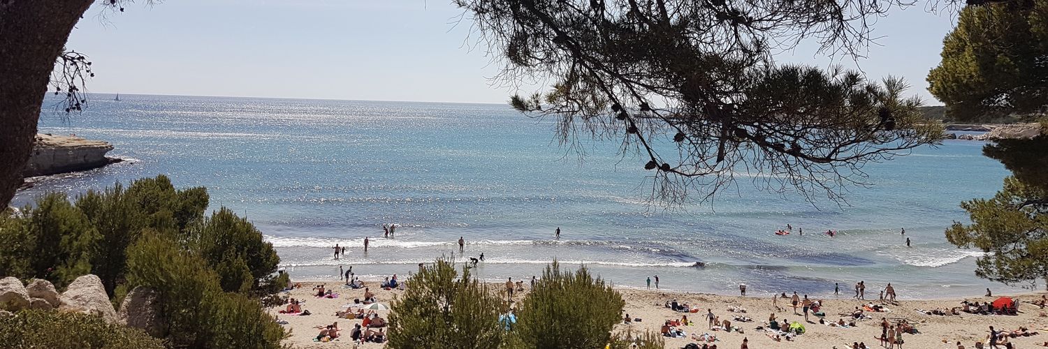 AnoukRizzo's profile banner image