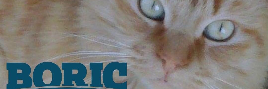 Barbaranowsky banner