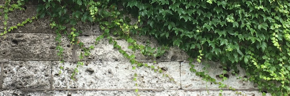 Hiro Fujimoto banner