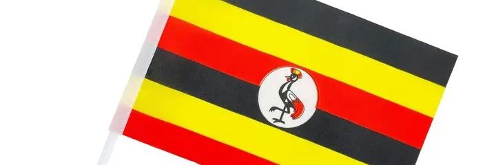 stwikirize's profile banner image
