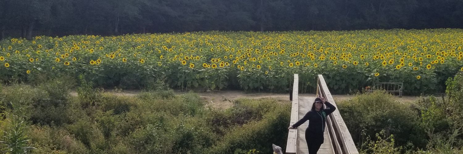 Look_itsLily's profile banner image
