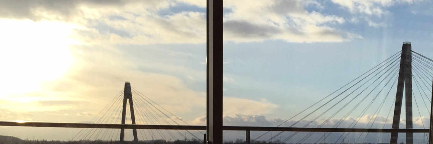skyflap_ri7's profile banner image