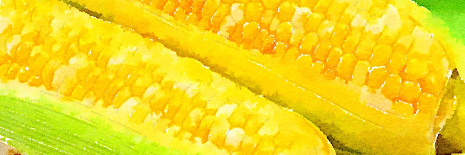 choutraight's profile banner image