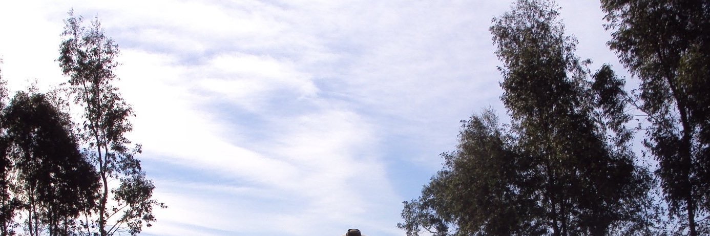 djanetz's profile banner image