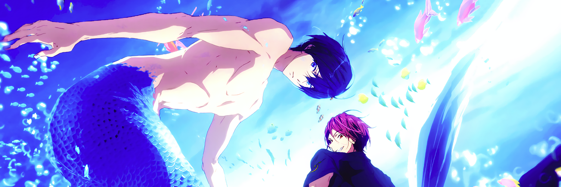 🌸🐬 My Shining, My Joy 🦈🌸 banner