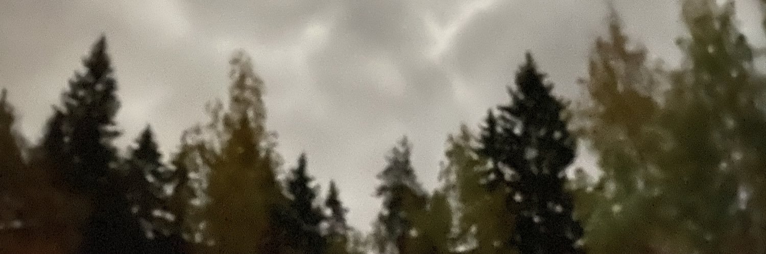 Jangsteri's profile banner image