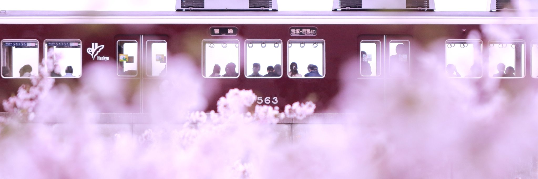 utabito7's profile banner image
