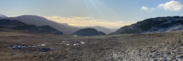 ammonite Profile Banner