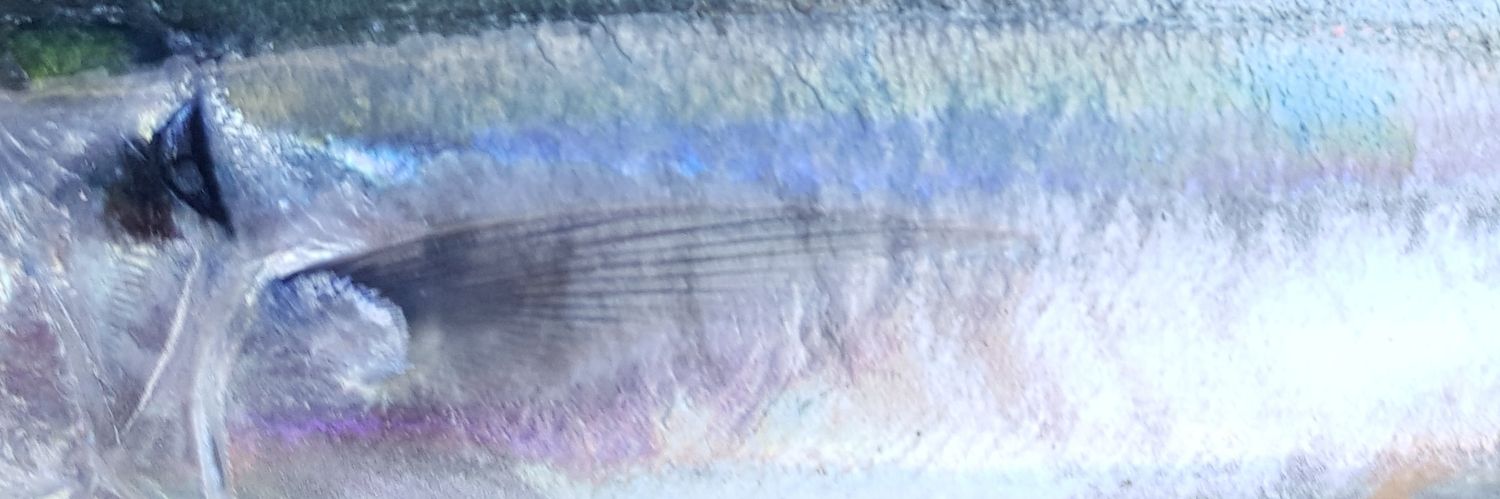 madheehu's profile banner image