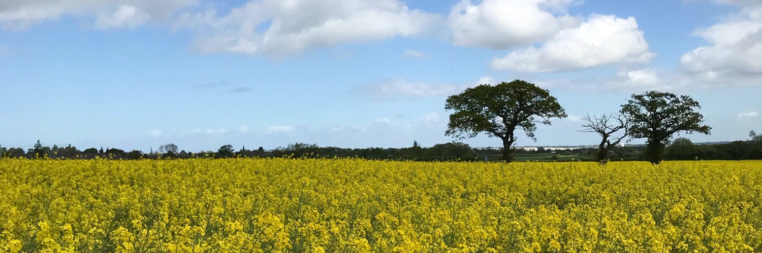 Kirsty Dalton banner