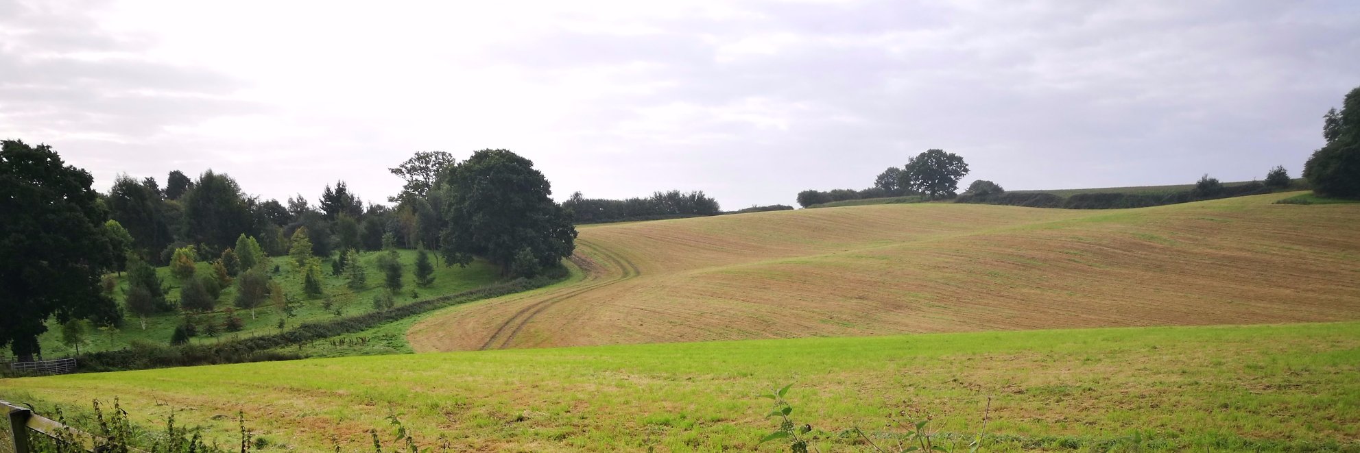 Tisshaws Solicitors banner