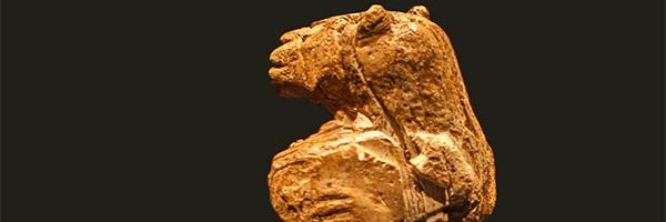 kzkmustafa's profile banner image