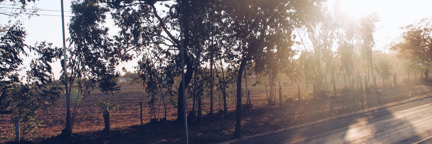 whit🌻 banner