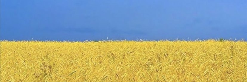 GeorgePBGrant's profile banner image