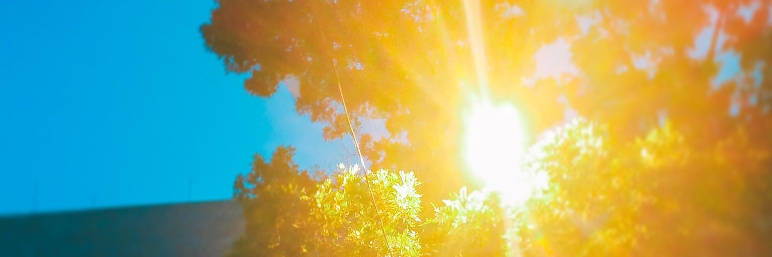 Dinaat_'s profile banner image