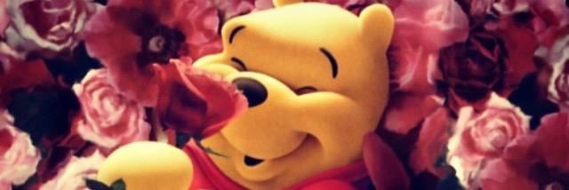 SandescaYulia's profile banner image