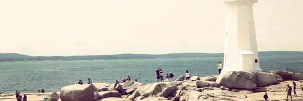 shuttercatt Profile Banner