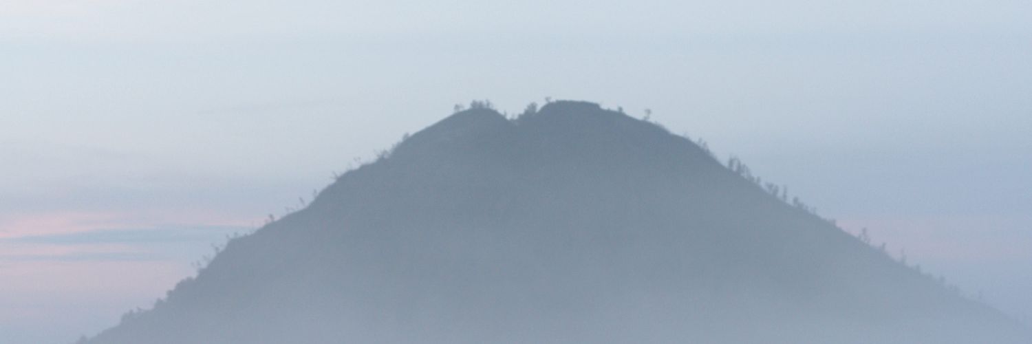 calcalical's profile banner image